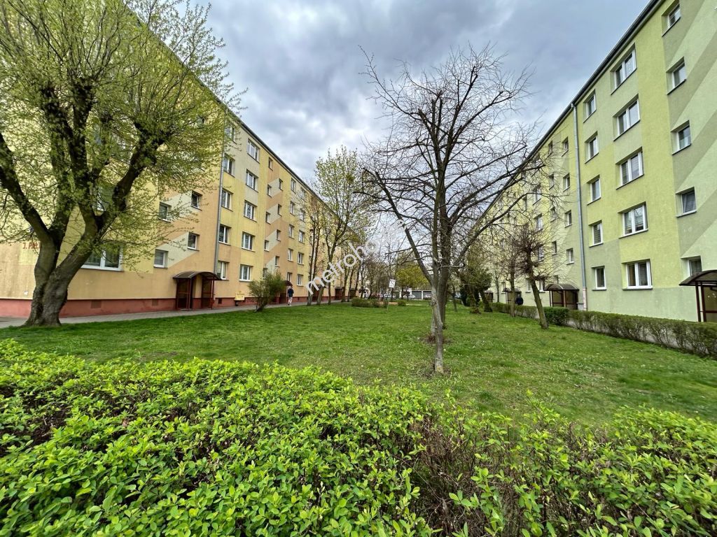 Flat  for sale, Toruń