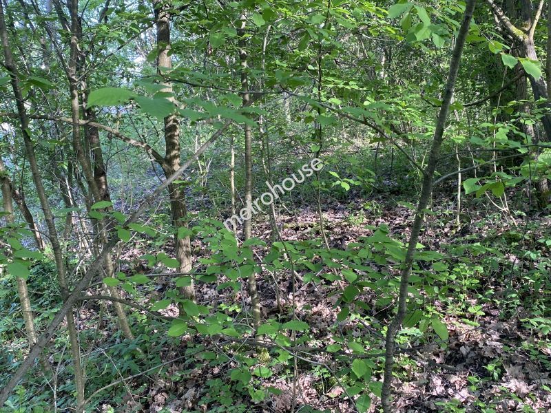 Działka na sprzedaż, Krakowski, Michałowice
