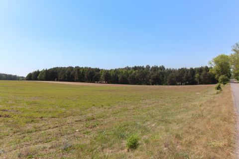 Sprzedaż Działka Spore, pow. szczecinecki