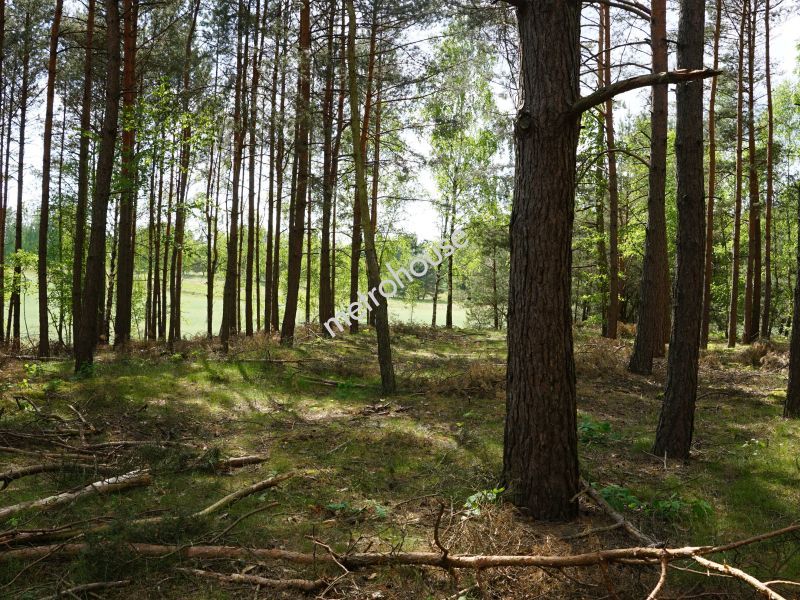 Działka na sprzedaż, Tucholski, Trzebciny