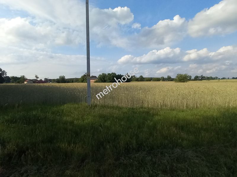 Działka na sprzedaż, Zduńskowolski, Lichawa, Lichawa-Parcela