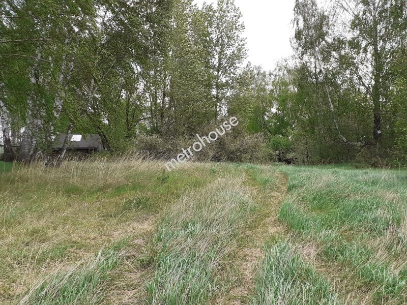 Działka na sprzedaż, Siedlecki, Nowe Okniny