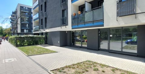 Wynajem Lokal handlowo-usługowy Sarnia, Śródmieście, Łódź