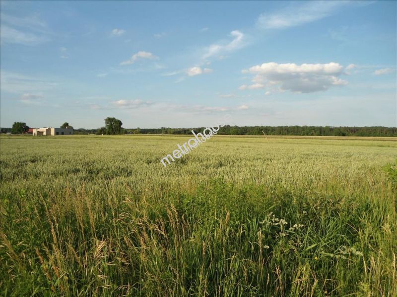 Działka na sprzedaż, Poznań, Szczepankowo, Gościnna