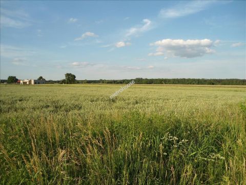 Sprzedaż Działka Gościnna, Szczepankowo, Poznań