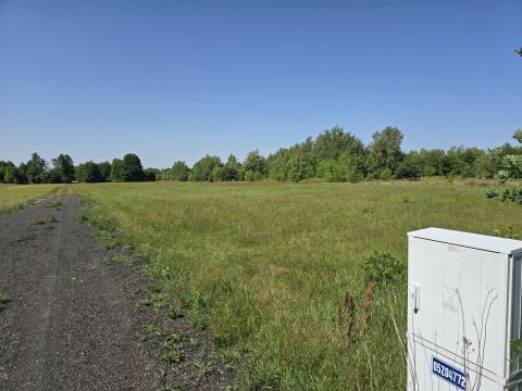 Sprzedaż Działka Główna, Karolina, pow. miński
