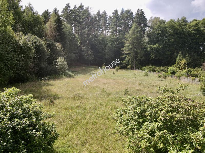 Działka na sprzedaż, Iławski, Iława, Siemiany
