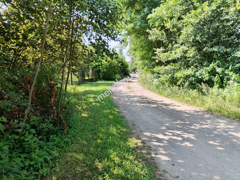 Działka na sprzedaż, Kielecki, Kranów