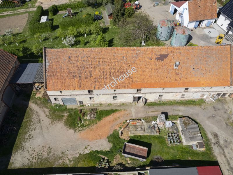 Gospodarstwo rolne na sprzedaż, Legnicki, Grzybiany, Spokojna