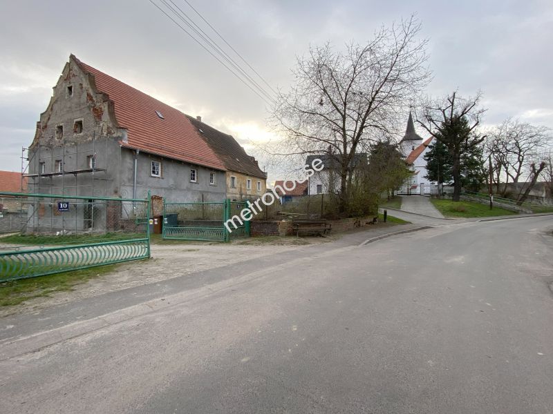 Gospodarstwo rolne na sprzedaż, Legnicki, Grzybiany, Spokojna