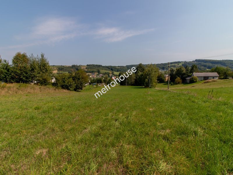 Działka na sprzedaż, Rzeszowski, Borek Stary