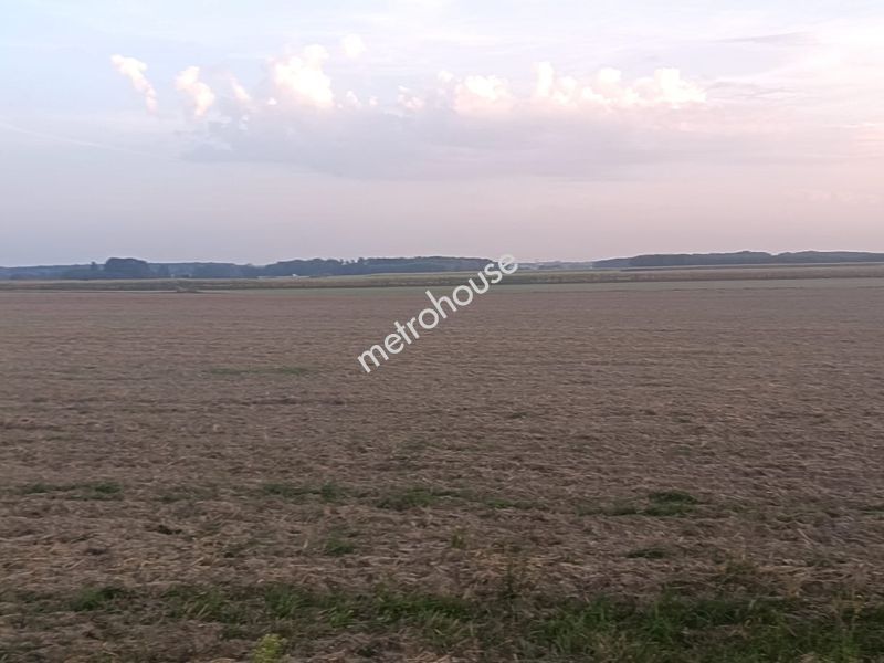 Działka na sprzedaż, Sokołowski, Kupientyn