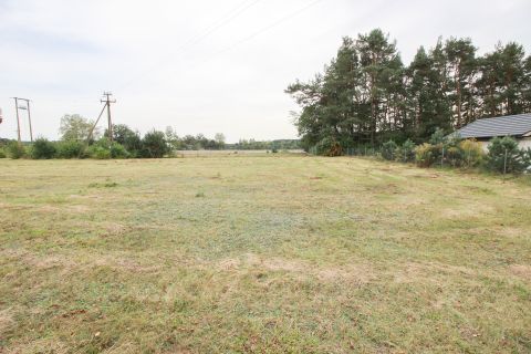 Sprzedaż Działka Drzewociny, pow. pabianicki