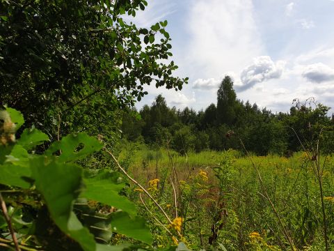 Sprzedaż Działka Cisie, pow. miński