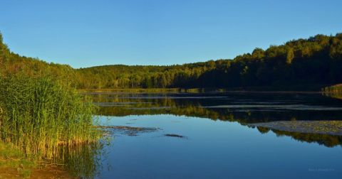 Sprzedaż Działka Kolejowa, Rogożnik, pow. będziński