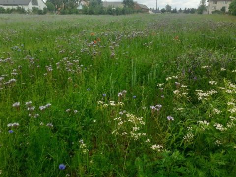 Sprzedaż Działka Stefanów, pow. łódzki wschodni