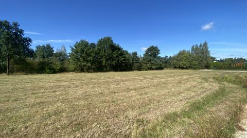 Sprzedaż Działka Kolonia Lesiów, pow. radomski