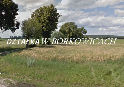Sprzedaż Działka Borkowice, pow. poznański