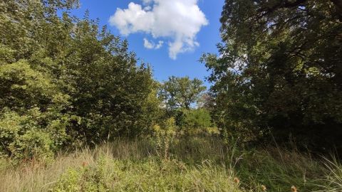 Sprzedaż Działka Bielańska, Skierniewice