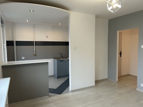 Sprzedaż Mieszkanie Osiedle Wichrowe Wzgórze, Winogrady, Poznań