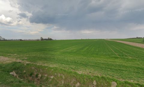 Sprzedaż Działka Kobylniki, pow. poznański