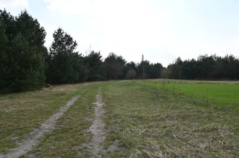 Sprzedaż Działka Promyka, Stary Adamów, pow. zgierski