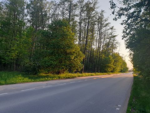 Sprzedaż Działka Olszowa, Książenice, pow. grodziski