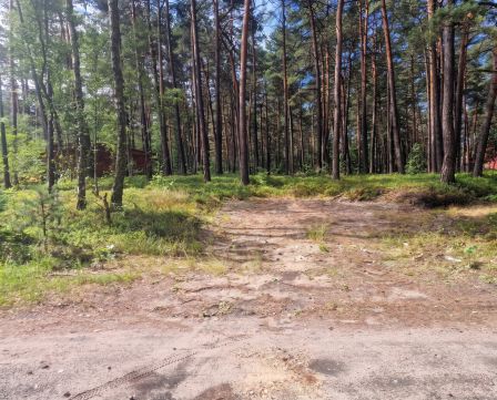 Sprzedaż Działka Masłońska, Żarki-Letnisko, pow. myszkowski